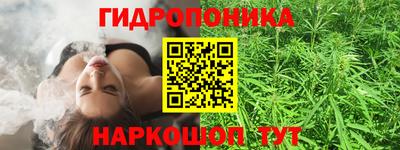 индика Пушкино