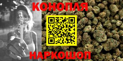 индика Пушкино