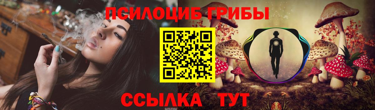 Галлюциногенные грибы мицелий Чехов