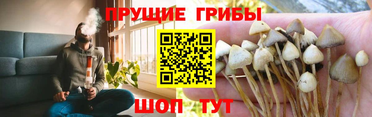 Псилоцибиновые грибы мухоморы  Вход с VPN  Чехов 